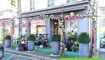 A fleur de pot - 79500 Melle