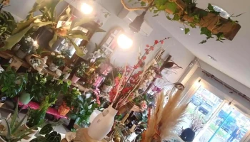 Ambiance Florale - 40210 Labouheyre