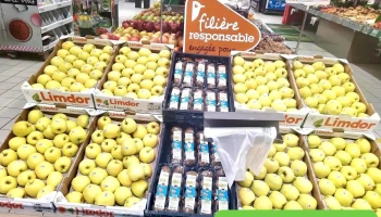 Auchan Supermarché Gradignan Malartic - 33170 Gradignan