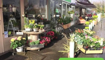 Aux Couleurs Petales - Montlieu-La-Garde