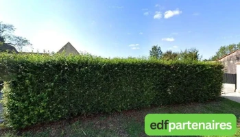 Baillon Thierry - 24480 Le Buisson-De-Cadouin