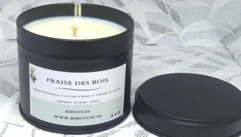 Bibougie - 79460 Magné
