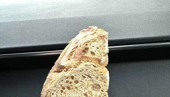 Boulangerie Tegedor - Arès