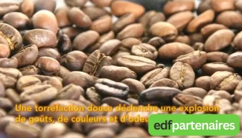 Café des Îles - Gauriaguet