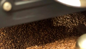 Café vertido - 79230 Fors
