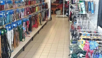 Canishop - 17260 Gémozac