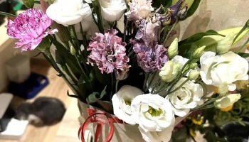 Cécile Fleurs - 24270 Lanouaille