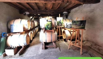Château Jouvente - 33720 Illats