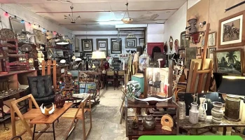 Complement d'objets - 64110 Gelos