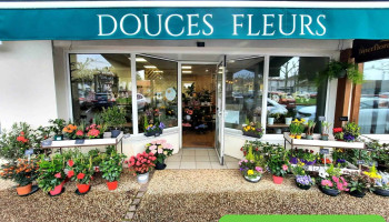Douces Fleurs - 40210 Labouheyre