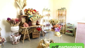 Elle & Les Fleurs - Mornac-Sur-Seudre