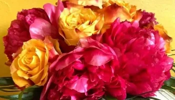 Fleurs D'epices - 64530 Pontacq