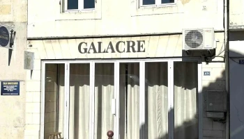 Galacre Fleurs - 17150 Mirambeau