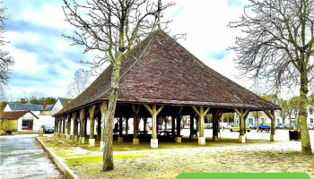 Halles de Pleumartin - 86450 Pleumartin