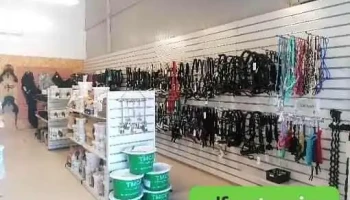 La Boutique Le Sabot Vert - 86500 Montmorillon