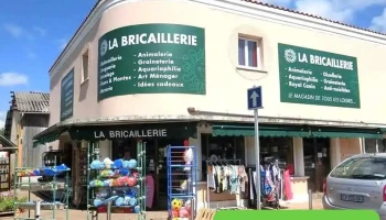 La Bricaillerie - 33138 Lanton
