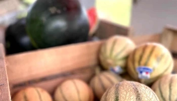 La Cabane À Fruits & Légumes (Charente Maritime 17) - Arvert