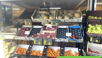 La Cabane de Fruits et Légumes de Cassy - 33138 Lanton