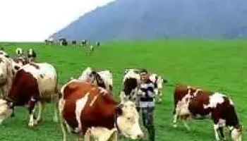 La Ferme Marty-Debat - Hameau Du Haut