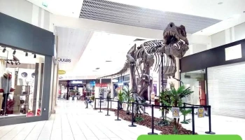 La Galerie - Niort - Chauray