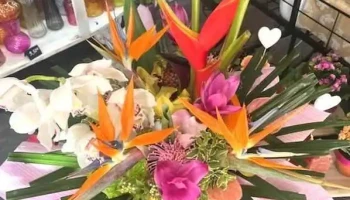 La palette aux fleurs Couzeix - Couzeix