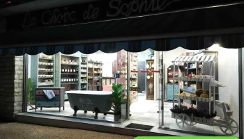 Le Choix de Sophie - 86320 Lussac-Les-Châteaux