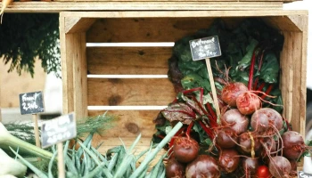Les Champs l'Œil - Le marché - 24340 Mareuil En Périgord