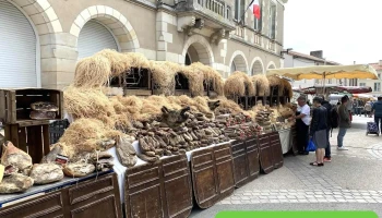 Marché à Neuville-de-Poitou - 86170 Neuville-De-Poitou