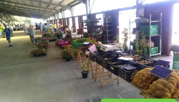 Marché aux Veaux - 79120 Lezay