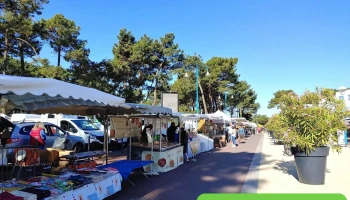 Marché de la Palmyre - 17570 Les Mathes