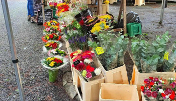 Marché de Léognan - 33850 Léognan