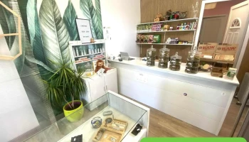 Médoc Alternative - Cbd Shop - Gaillan-en-Médoc - 33340 Gaillan-En-Médoc
