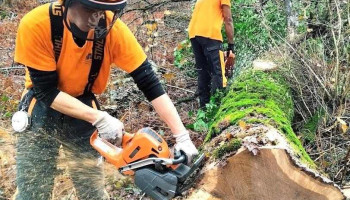 Mfr Forêt Environnement - Chevanceaux