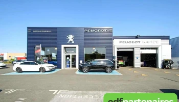 Mgr Griffe Automobiles Peugeot - Citroën - Chauvigny