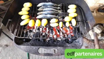 Nulle Part Ailleurs - 5 Gr - Cozes