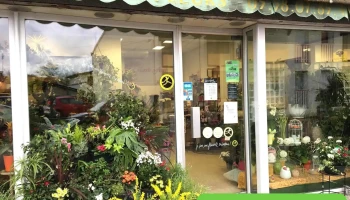 Plus que des Fleurs - 40110 Morcenx-La-Nouvelle