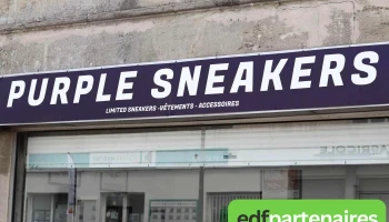 Purple Sneakers - Saint-André-De-Cubzac