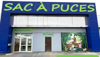 Sac à Puces - Confolens