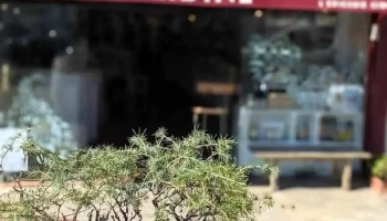Sardine, l'épicerie fine de Ciboure - Ciboure