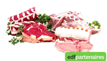 Sas Marassé - Boucherie et Fournisseur de viande - 47390 Layrac