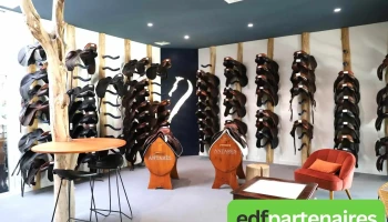 Selles-occasions.com - 17100 Les Gonds