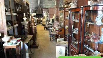Telotroc Debarras De Maison Et Appartement Du 40 Landes Dax Et Pyrénées Atlantiques 64 Orthez Pau - 40360 Pomarez