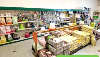 Terrena Pro Contact - 79250 Nueil-Les-Aubiers