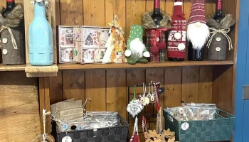 The Cozy Cup - 87190 Magnac-Laval