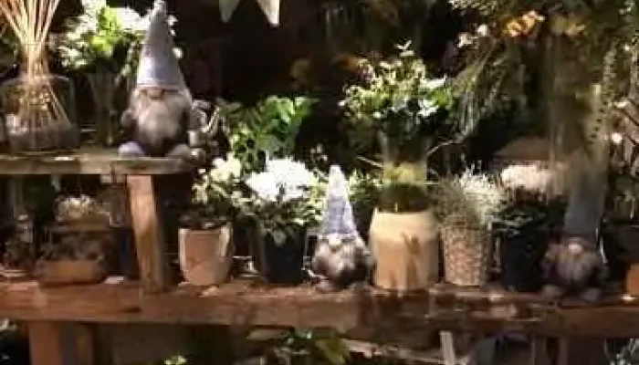 A Fleur D Eau -  Interieur - Arès