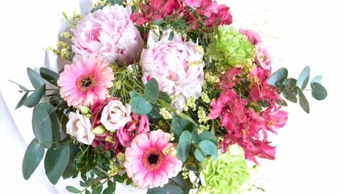 Alliance Fleurs - Castelnau-De-Médoc