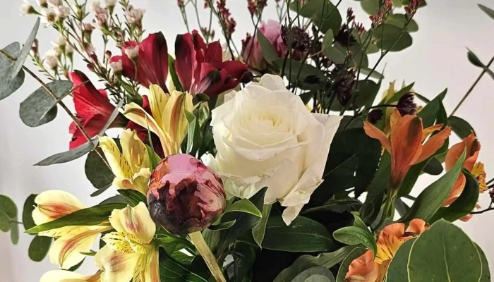 Alliance Fleurs -  Instagram - Castelnau-de-médoc