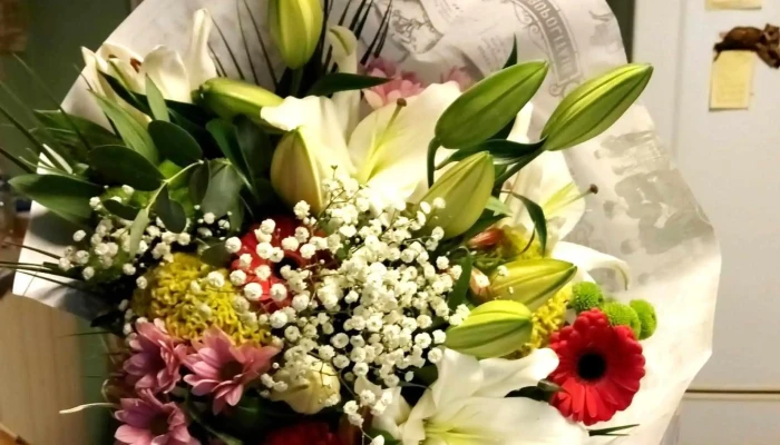 Alliance Fleurs -  Videos - Castelnau-de-médoc