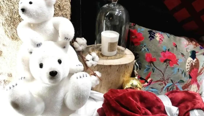 Autour Du Blanc -  Photos Du Proprietaire - Bressuire