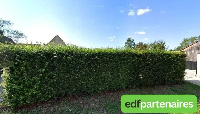 Baillon Thierry - 24480 Le Buisson-De-Cadouin